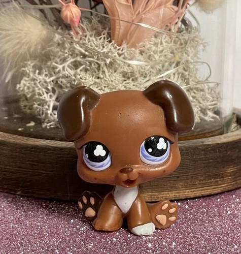 Petshop chien boxer chiot - chien,