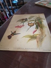 J Gould  H C Richer Pochette