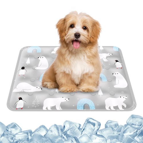 Tapis rafraichissant - tapis,
