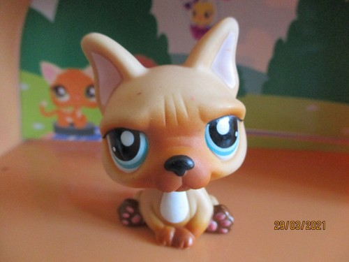 Petshop chien bouledogue - petshop,