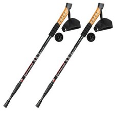 Lot de 2 Bâtons de Randonnée