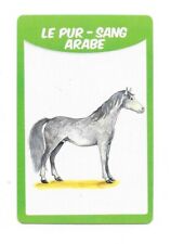 Carte 50 races de chevaux - Le pur sang arabe