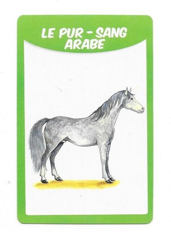 Carte races chevaux le - carte,