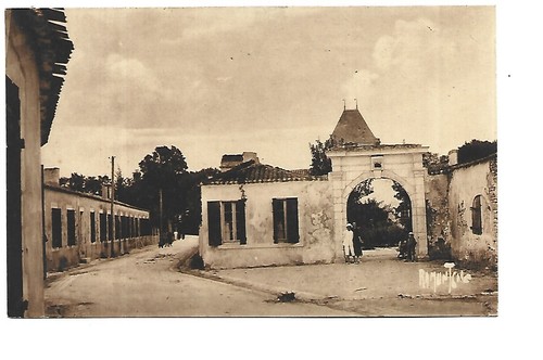 Ile oleron saint denis - oleron,