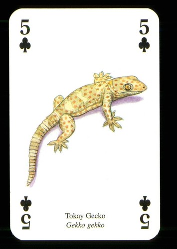 Playing card a - 1,