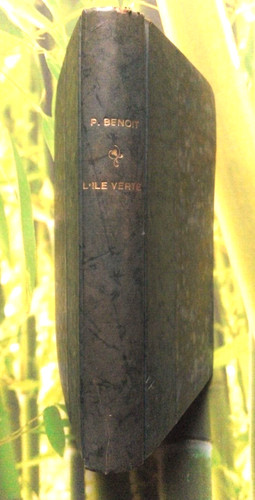Livre roman île - roman, verte
