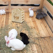 Mangeoire à foin pour lapins