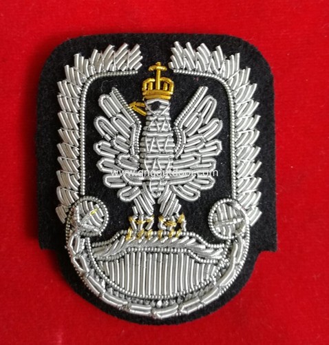Lustrant air force - air, aigle