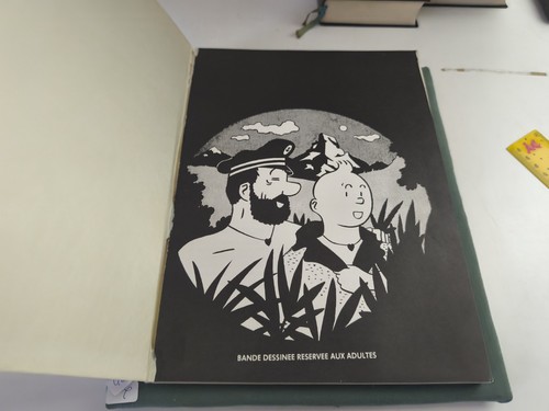Original tintin pirate - original,
