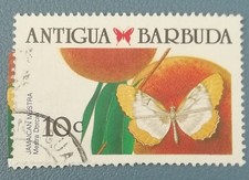 TIMBRE JAMAIQUE JAMAICA ANTIGUA BARBUDA JAMAICAN MESTRA MESTRA DORCAS 1981