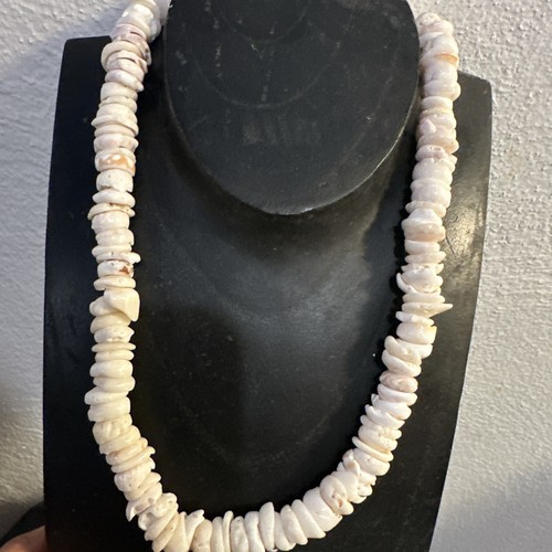 Large puka shell - shell,