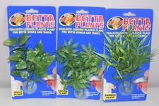 Aquarium Betta Petit Plastique