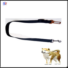 Ceinture de Securité  Pour