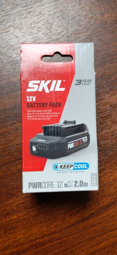 Batterie lithium ion skil - batterie, 2101