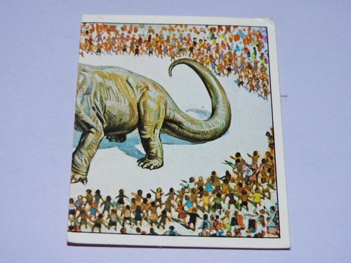 Image panini animaux - panini,