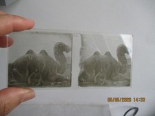 CHINE CHINA PHOTO PLAQUE VERRE