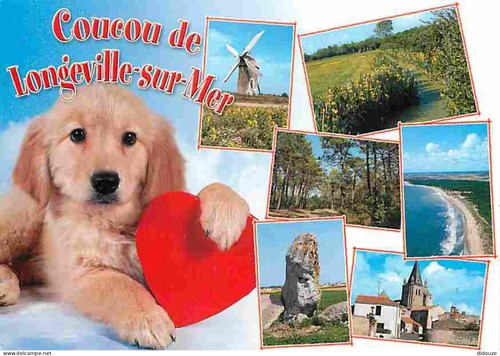 Carte postale animaux - postale,