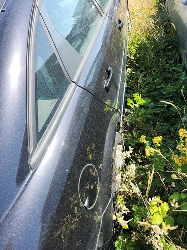 Neiman opel vectra phase 1 - vectra, c