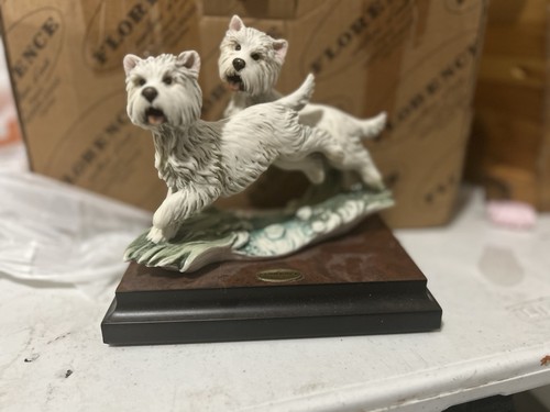 Giuseppe Armani "Westies"