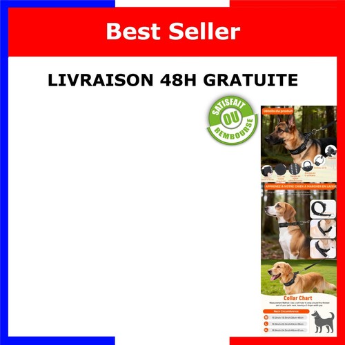 Collier martingale chien