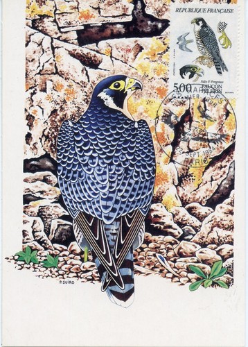Carte postale maximum - postale, premier