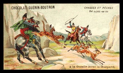 Chromos guerin boutron - guerin,