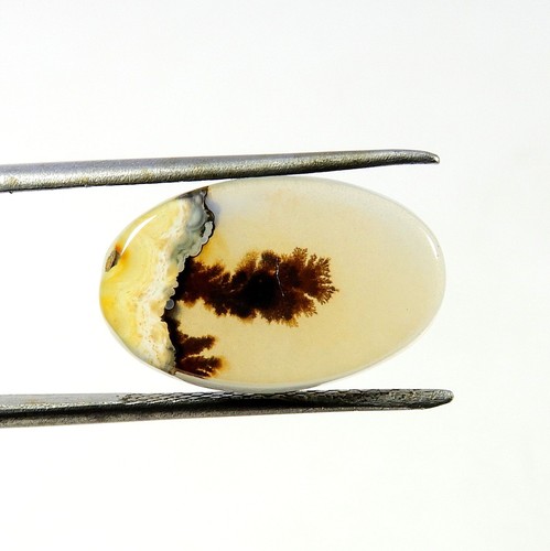 Cabochon agate dendrite shazar - agate,