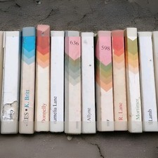 LOT 20 livres anciens romans