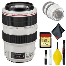 Canon EF 70-300mm f/4-5.6L IS