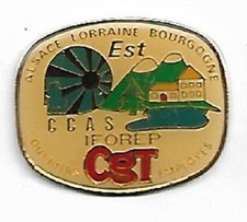 pin's syndicat cgt alsace lorraine bourgogne CCAS IFOREP ouvriers employés