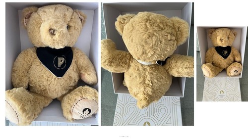 Peluche ours paris 2024 - peluche, psg