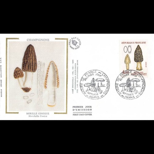 Fdc soie champignons - -,