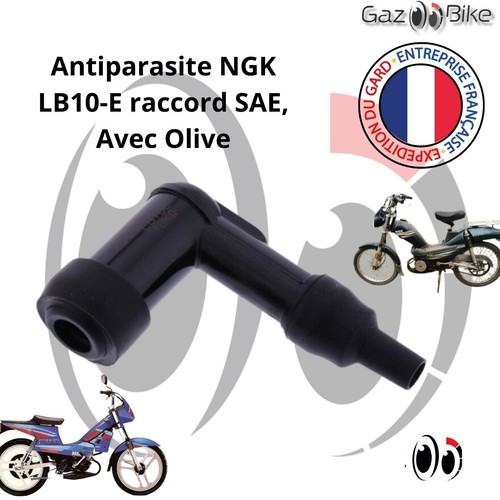 Antiparasite ngk lb10 pour - antiparasite,