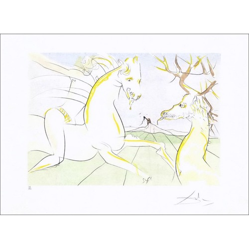 Dali salvador gravure - salvador,