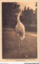 AJGP10-0862 - OISEAUX - PARC