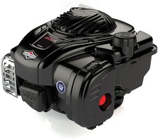 Moteur BRIGGS STRATTON INTEK