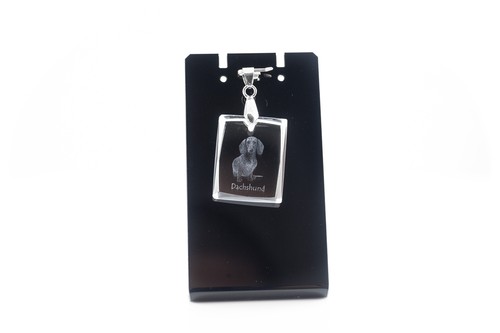 Teckel poil dur - à, pendentif