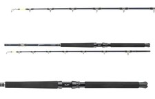 Daiwa Tanacom Ultra Deep 2,10M