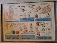 Tableau Pédagogique 21 LA MAIN LA PEAU + 22 LES FILS LES TISSUS/Affiche scolaire