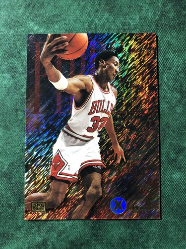 Scottie pippen 1994 - pippen, 1994-95