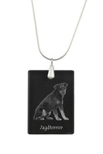 Jagdterrier (Terrier de