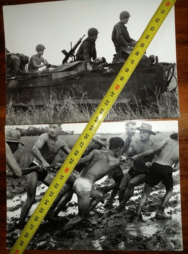 Grandes vraies photos guerre - 2,