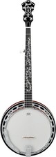Ibanez Model B200 5-String