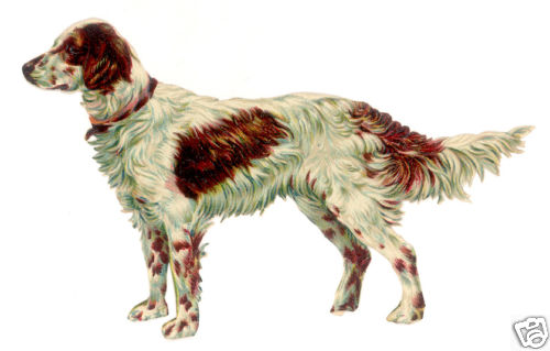 Decoupi ancien chien setter - decoupi,