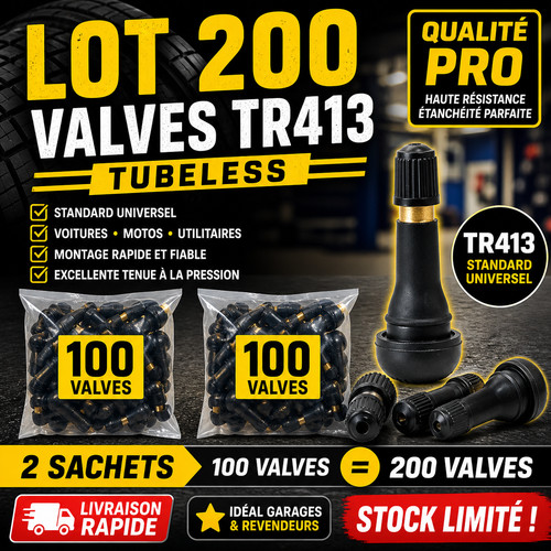 Lot 200 valves pneus tr413 - 200,