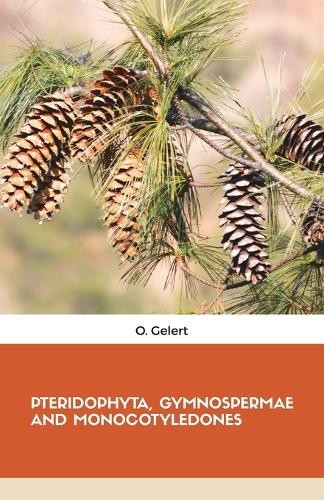 Gelert pteridophyta - o,