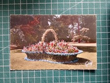 XH1359 CP circa 1959 Tours jardin botanique panier fleuri