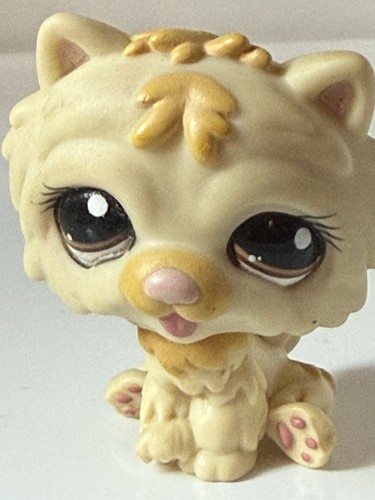 Petshop chien chow 1058 - petshop,