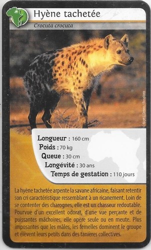 Carte bioviva hyène - carte, bioviva!