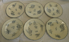 6 GRD ASSIETTES PLATES TERRE